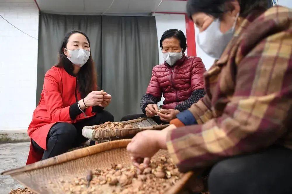 陇南:“统战+电商”模式 激活新的社会阶层人士统战工作新动能开云 开云体育(图2) 陇南:“统战+电商”模式 激活新的社会阶层人士统战工作新动能开云 开云体育(图2)