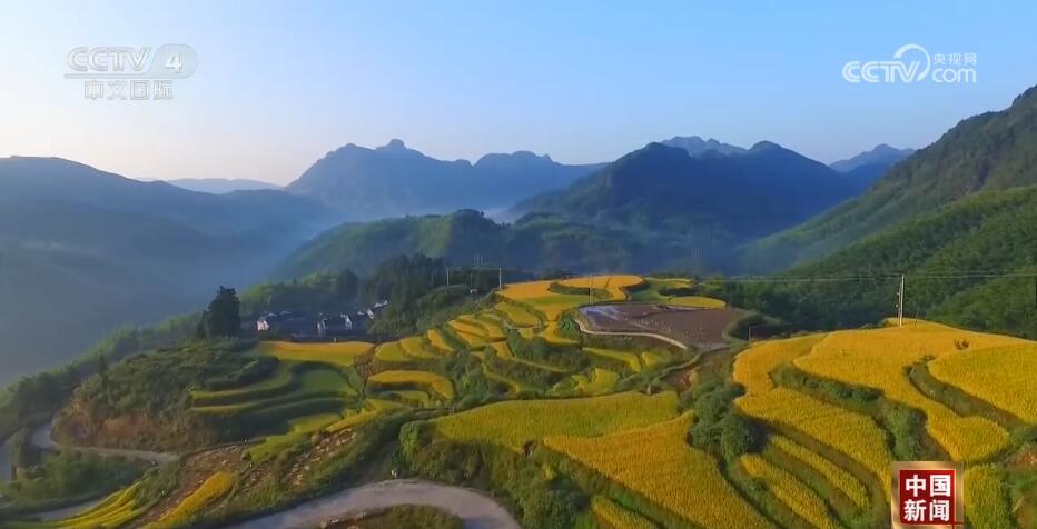 粉丝千万的“非洲李子柒”带动“电商兴农” 新业态激发美丽乡村新活力Kaiyun 开云(图2)