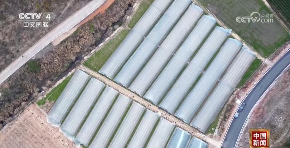 粉丝千万的“非洲李子柒”带动“电商兴农” 新业态激发美丽乡村新活力Kaiyun 开云(图5)