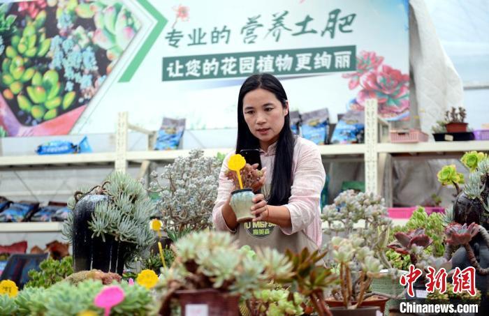 Kaiyun 开云高质量发展调研行）每秒有24件快递从这里发出 江苏宿迁打造电商“新高地”(图2)