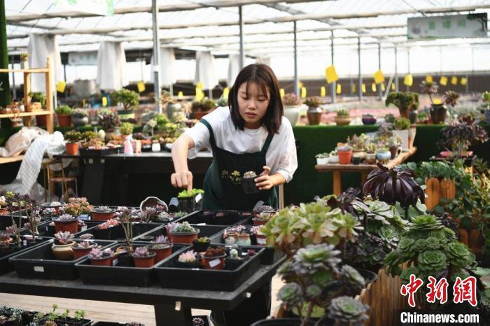 Kaiyun 开云高质量发展调研行）每秒有24件快递从这里发出 江苏宿迁打造电商“新高地”(图3)