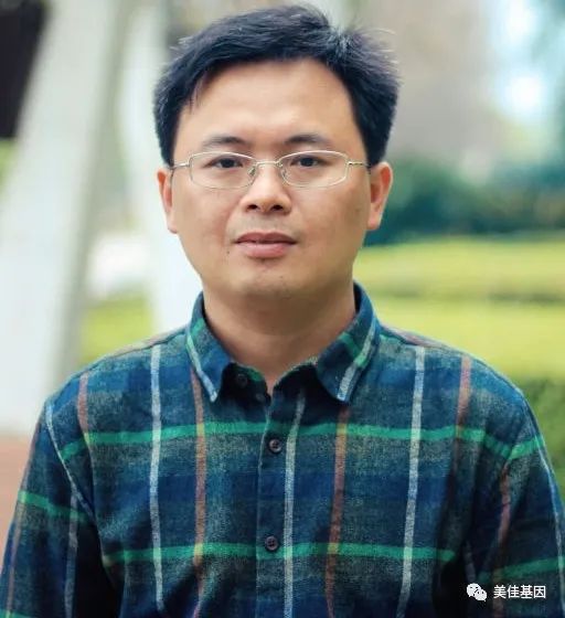 专家智库开云 开云体育平台丨电子商务专家篇（第一辑）(图4)