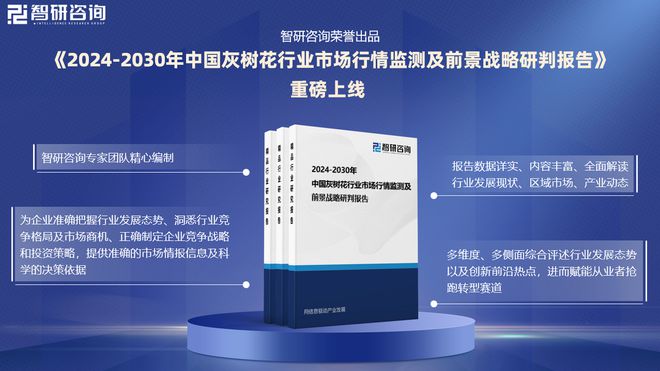 2024版中国开云体育 开云平台灰树花行业市场规模及策略研究报告（智研咨询）(图1)