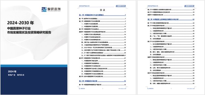2024开云 开云体育官网版中国蔬菜种子行业市场发展前景分析报告（智研咨询发布）(图5)