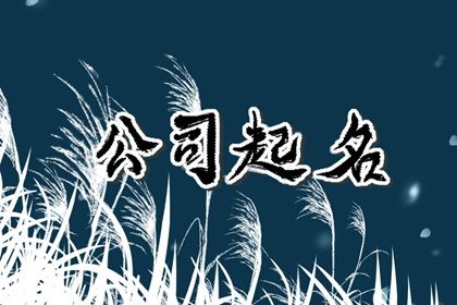Kaiyun 开云体育咨询服务公司起名大全集 管理咨询公司取名字(图1)