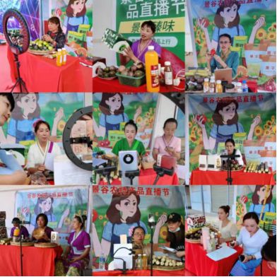 景谷县电子商务公共服务中心2022年Kaiyun 开云年终总结(图7)