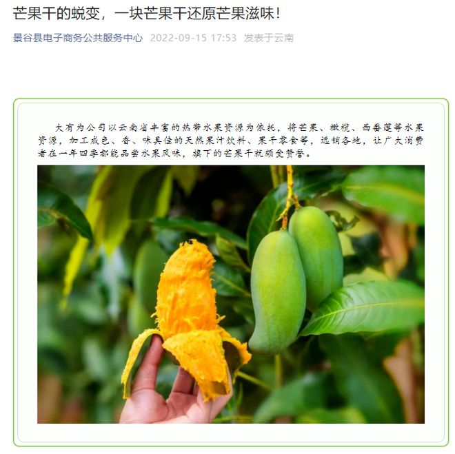 景谷县电子商务公共服务中心2022年Kaiyun 开云年终总结(图13)