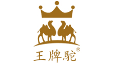 Kaiyun 开云中国十大品牌策划公司(图6)