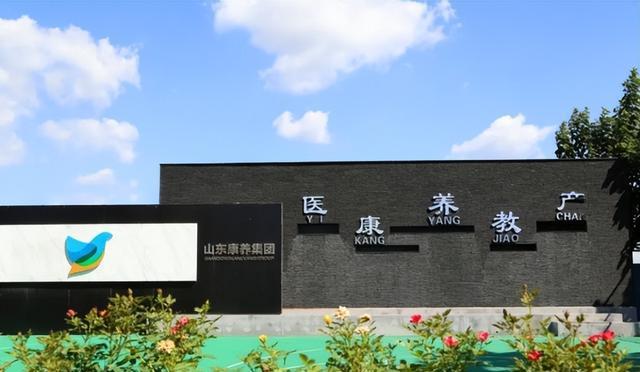 开云 开云体育平台盘点我国四大汉奸企业披中国外衣捞金替外国出力“背刺”华为(图5)