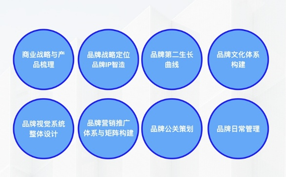开云 开云体育大道恒美品牌管理｜大品牌战略驱动企业商业价值生长(图6)