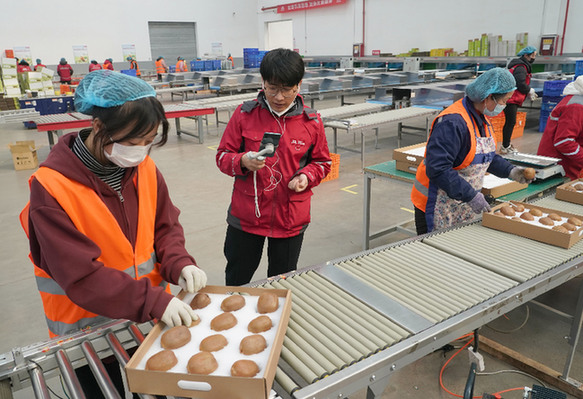 开云体育 开云官网电商新模式为新供给新消费注入新活力(图2)