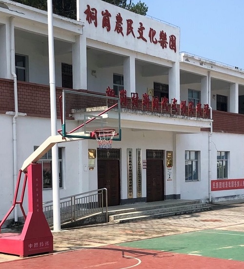 开云 开云体育狂奔的农村电商(图3)