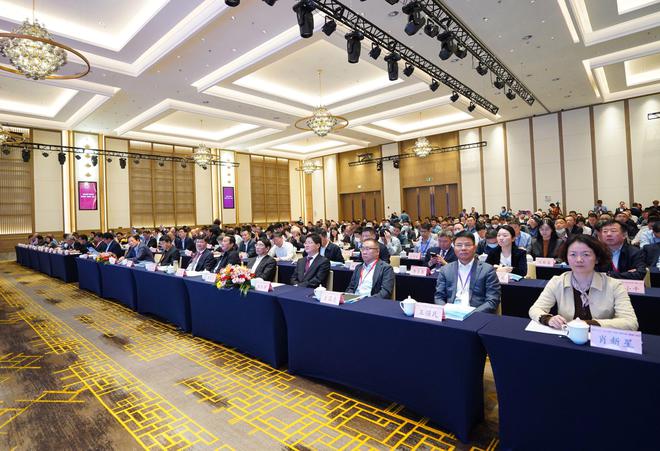 开云APP 开云官网入口镁资讯：共线镁产业链与镁市场（巢湖）论坛圆满落幕(图2)