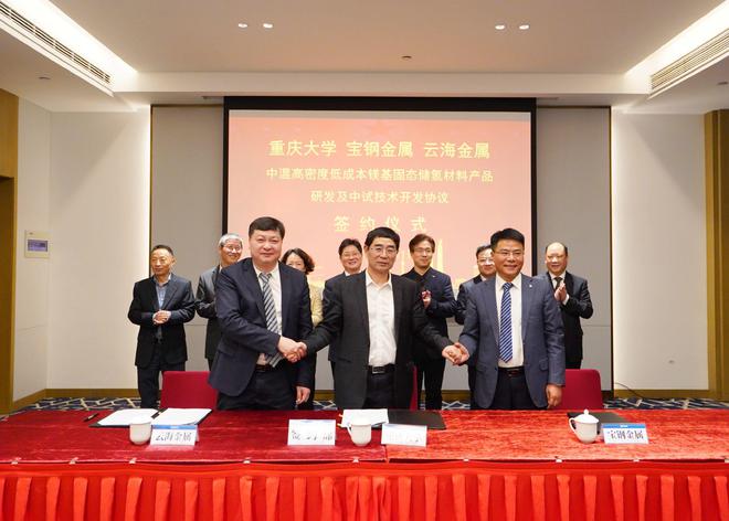 开云APP 开云官网入口镁资讯：共线镁产业链与镁市场（巢湖）论坛圆满落幕(图6)