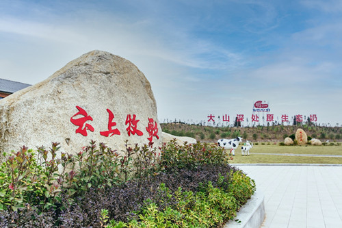 开云 开云体育官网数字信息_中国网(图6)