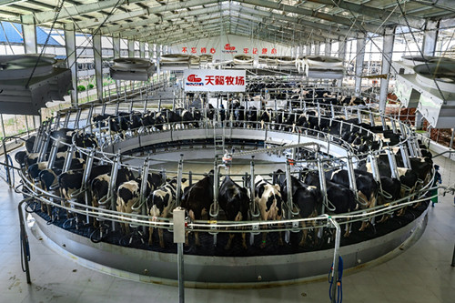 开云 开云体育官网数字信息_中国网(图10)
