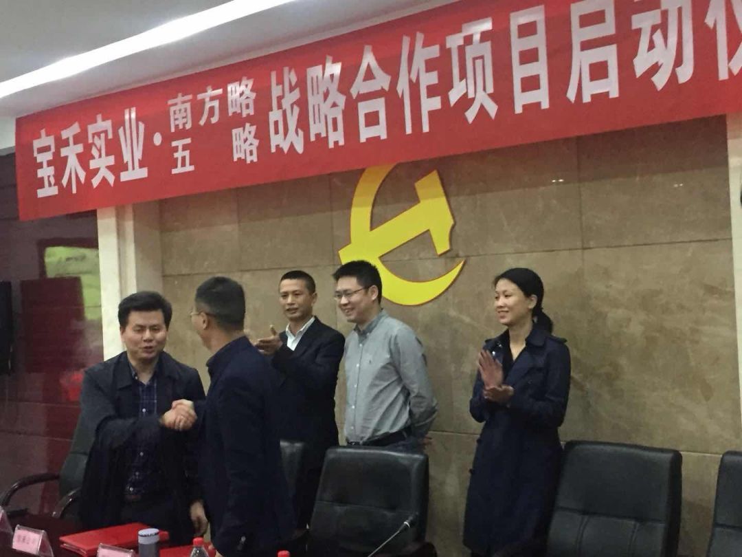 营销战略咨询 重庆宝禾实开云体育 开云官网业携手南方略达成营销战略合作协议(图2)