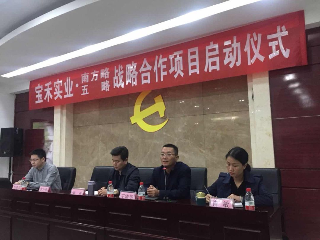 营销战略咨询 重庆宝禾实开云体育 开云官网业携手南方略达成营销战略合作协议(图3)