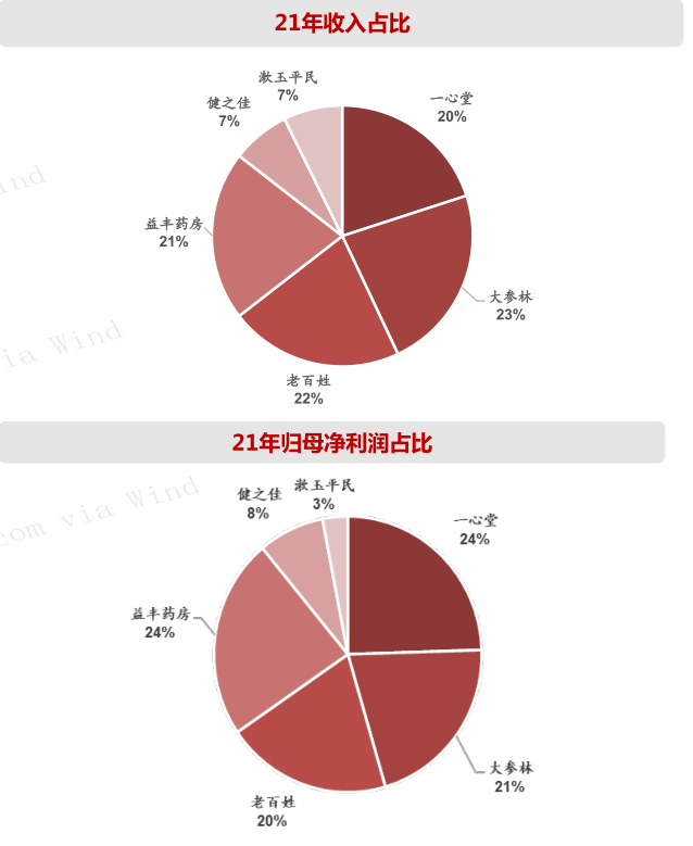 开云体育 开云平台2023年医药商业行业发展研究报告(图20)