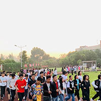 开云体育 开云官网电子商务专业都学什么？(图8)