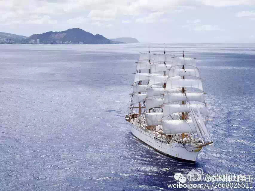 唐开云 开云体育平台山新营销2015单体药店的趋势(图2)