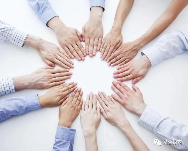 聚合招商：品牌营销策划对企业而言有多重要？开云体育 开云官网(图3)