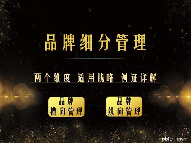 开云APP 开云官网入口品牌细分管理：纵向延伸、横向组合两类组织形式适用方案详解(图2)