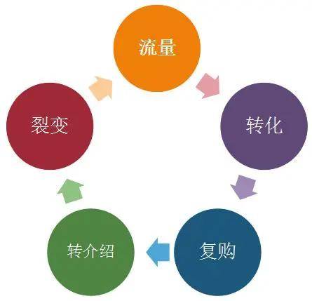 开云体育 开云平台四川有营销策划专业的院校(图8)