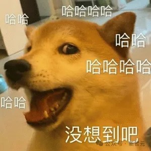 跨境电商一人搞定？我们雇阿里国际的AI开了家店赚遍全球市开云体育 开云官网场(图7)