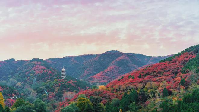 开云体育 开云官网天恒印香山售楼处（北京海淀-天恒印香山）项目最新情况(图5)