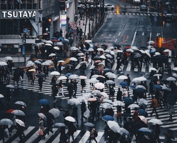 开云 开云体育平台联合国报告：2100年中国人口缩减至63亿那就不卷了吗？(图4)