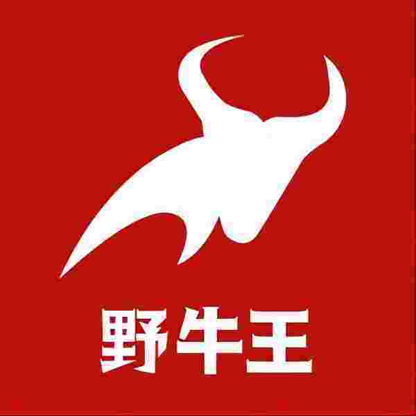 野牛王全网精准营销预测平台为企业提供数字化营销赋能元境空间开云APP 开云官网入口(图1)