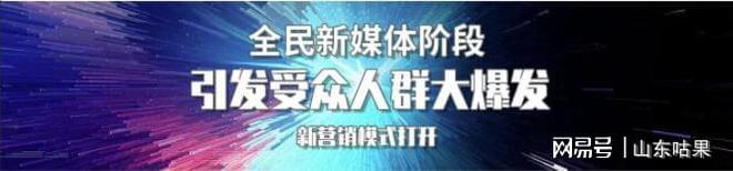 干货分享从事10年的互联网分享这30个大流量开云 开云体育平台平台的营销攻略(图2)