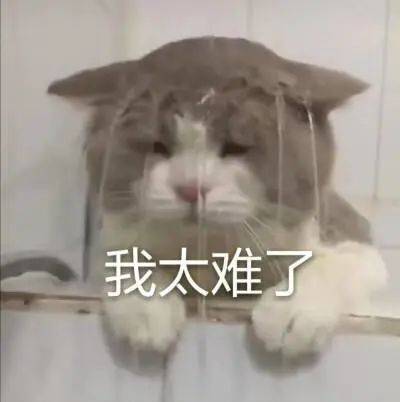 脑洞大开！厦门创业者为公司起的名字噱头十足看到开云 开云体育官网第一个就忍不住了(图2)