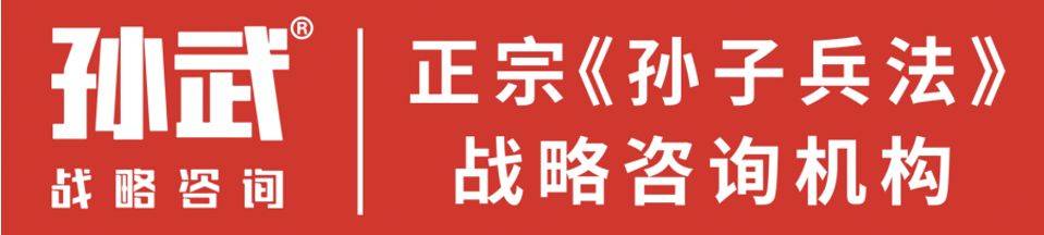 品牌策划公司孙武战略咨询域名Kaiyun 开云体育(图9)