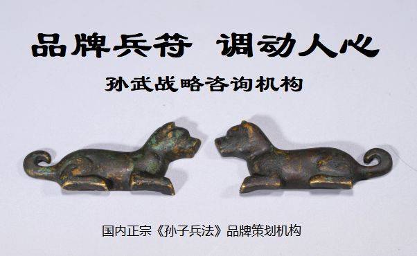 品牌策划公司孙武战略咨询域名Kaiyun 开云体育(图5)