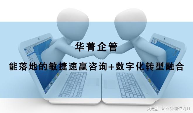 开云体育 开云官网信息化咨询公司-可以帮助企业解决哪些问题(图4)