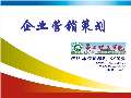 开云体育 开云平台营销策划合同模板(图20)