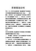 开云体育 开云平台营销策划合同模板(图46)