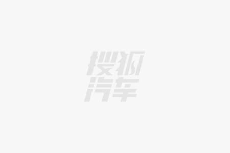 搜狐汽车营销首脑风暴自荐案例 吉利雷开云 开云体育官网达地平线上市传播案例(图2)